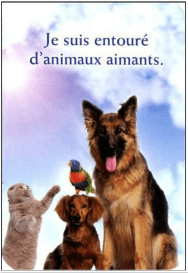 entourée d'animaux aimants